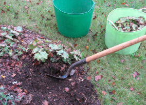 Taking some time to work on your garden in the fall will help ensure a beautiful spring.  And removing items that can blow around ensures no projectile objects in winter storms.